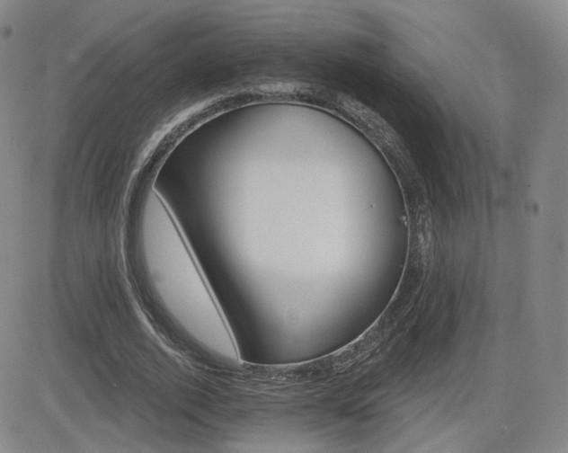 X0000084520728200702231134