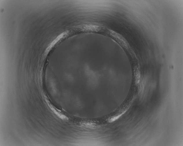 X0000084520729200702231134