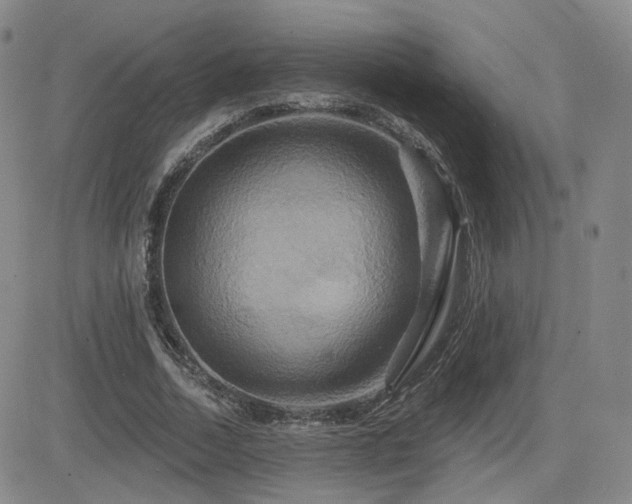 X0000084520730200702231134