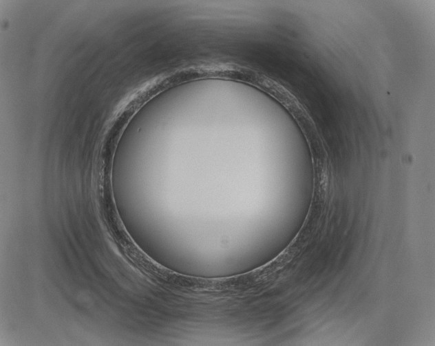 X0000084520732200702231134