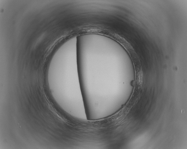 X0000084520733200702231134