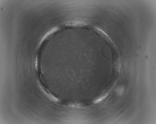 X0000084520735200702231134