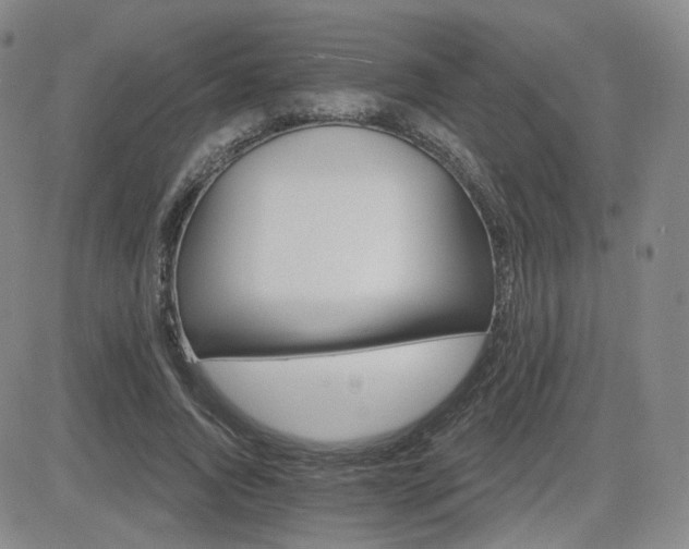 X0000084520736200702231134