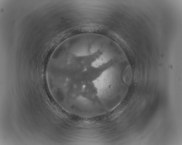 X0000084520737200702231134