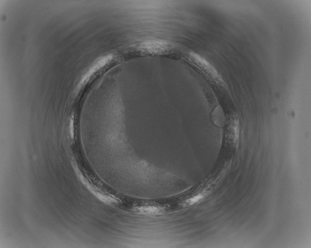 X0000084520738200702231134