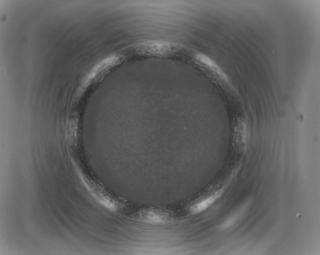 X0000084520739200702231134