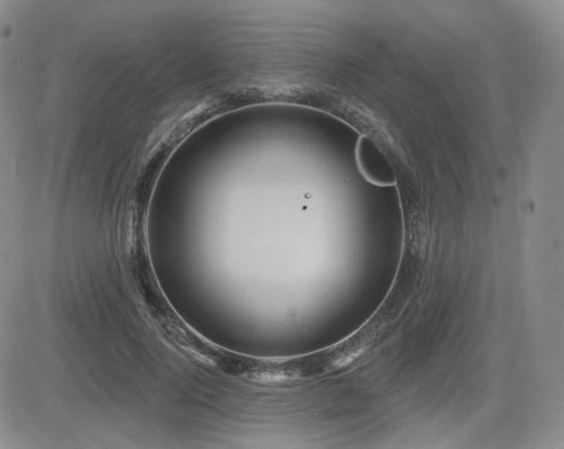 X0000084520740200702231134