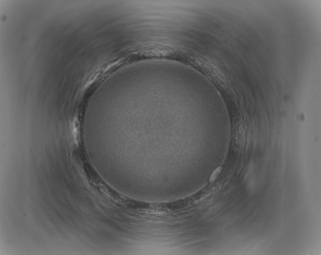 X0000084520743200702231134