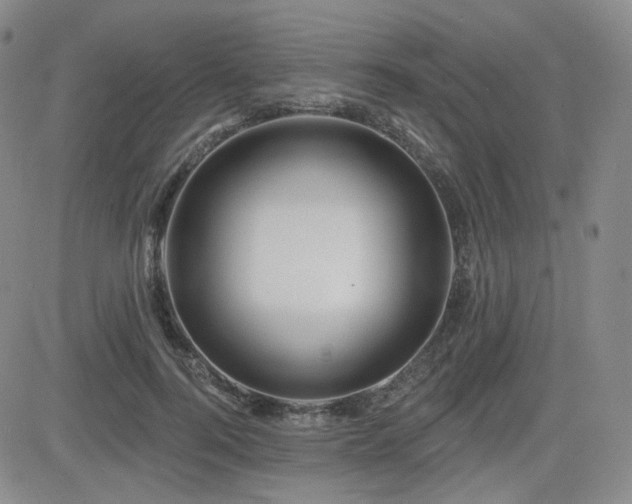 X0000084520744200702231134