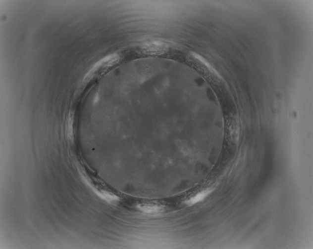 X0000084520745200702231134