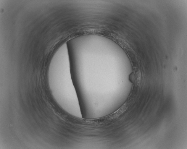 X0000084520746200702231134