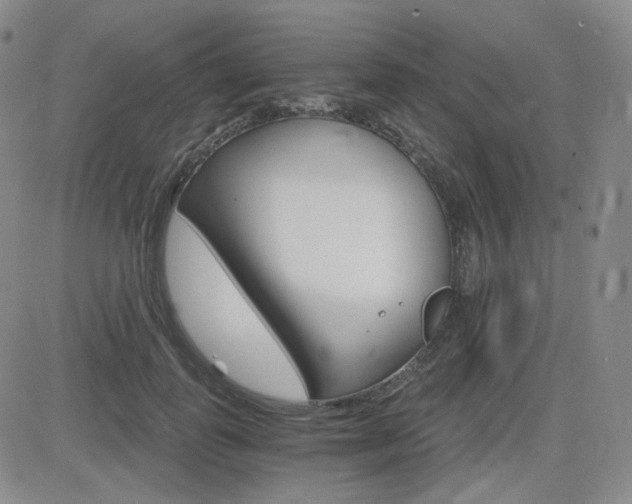 X0000084520747200702231134