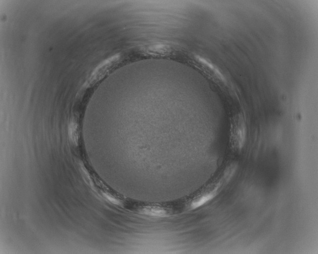 X0000084520749200702231134