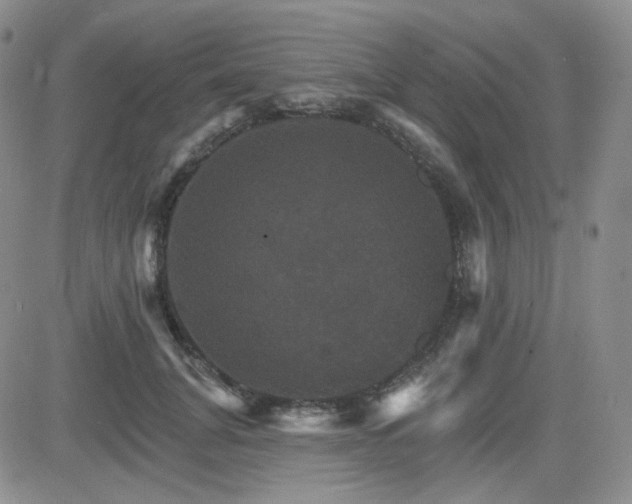 X0000084520751200702231134