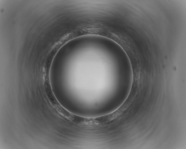 X0000084520752200702231134