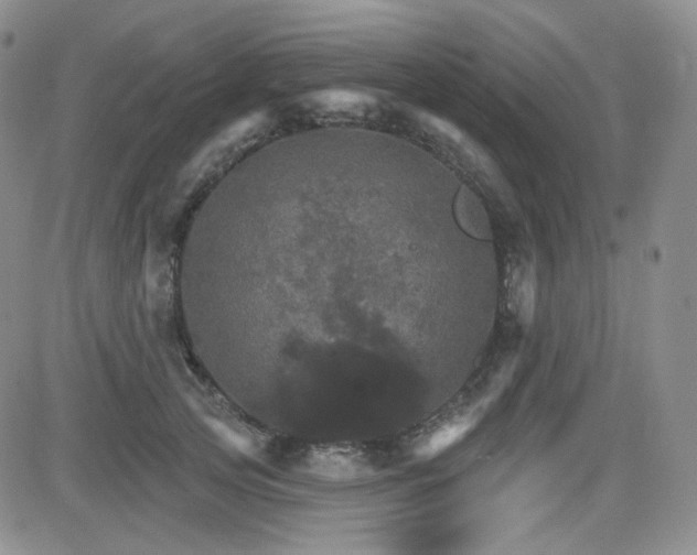 X0000084520753200702231134