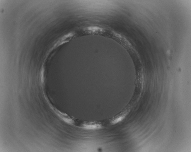 X0000084520754200702231134