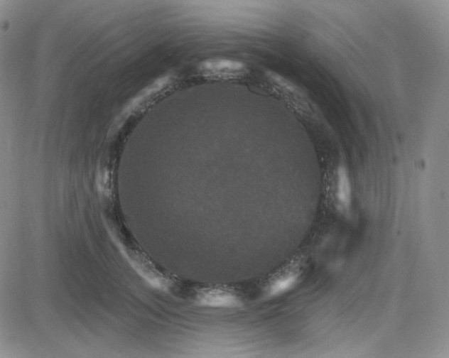 X0000084520755200702231134