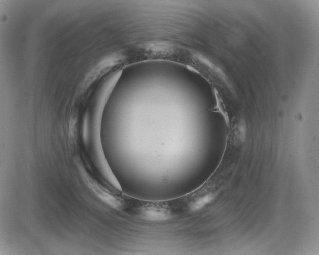 X0000084520756200702231134