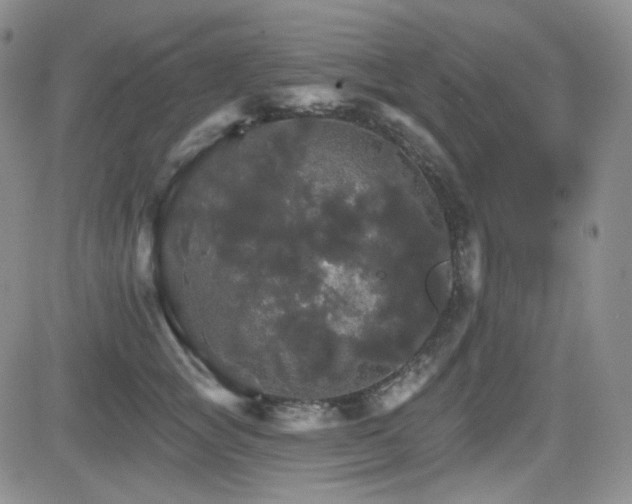 X0000084520757200702231134