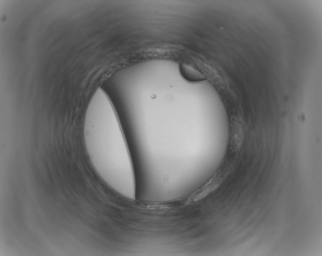 X0000084520758200702231134