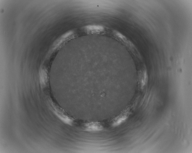 X0000084520761200702231134