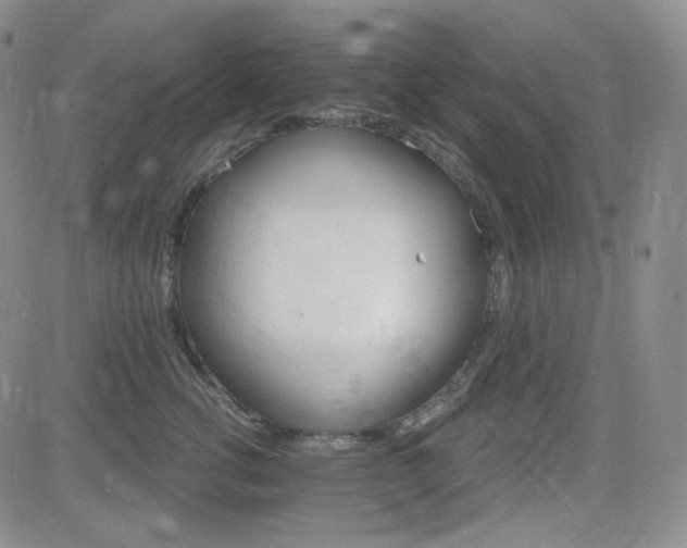 X0000084520762200702231134