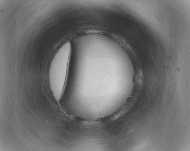 X0000084520763200702231134