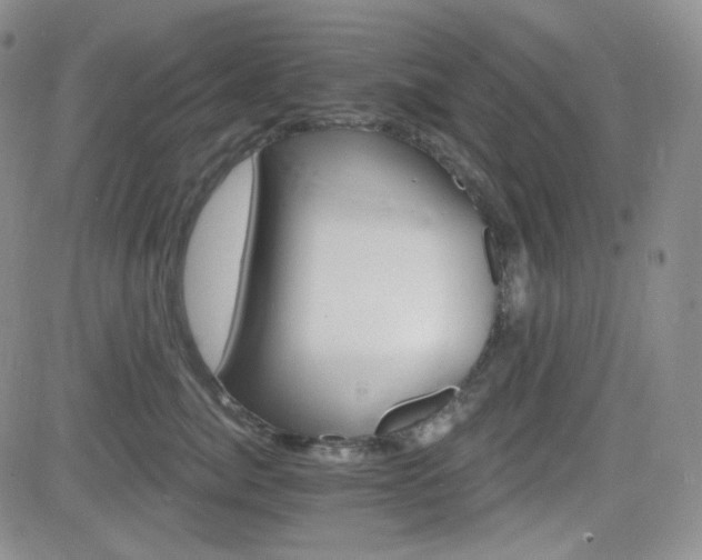 X0000084520764200702231134