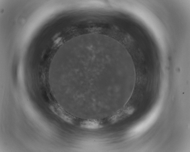 X0000084520765200702231134