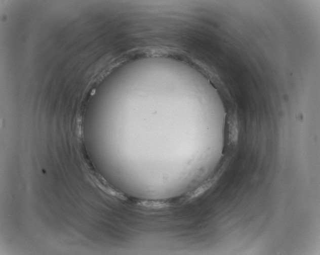 X0000084520766200702231134