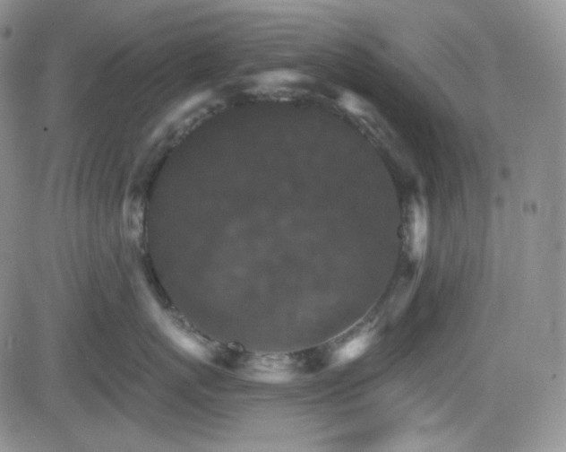 X0000084520767200702231134