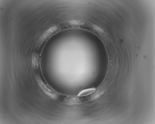 X0000084520768200702231134