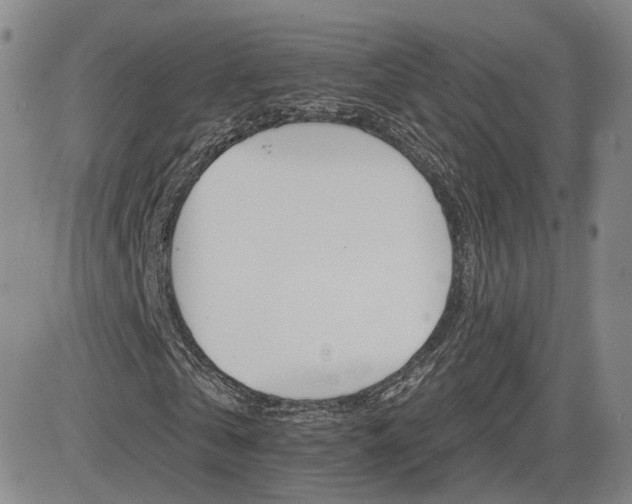 X0000084520769200702231134