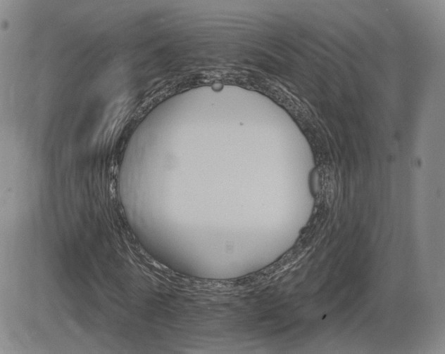 X0000084520770200702231134