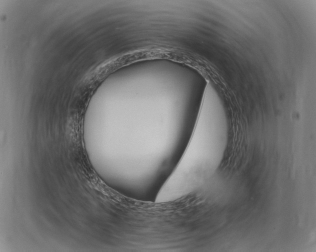 X0000084520773200702231134