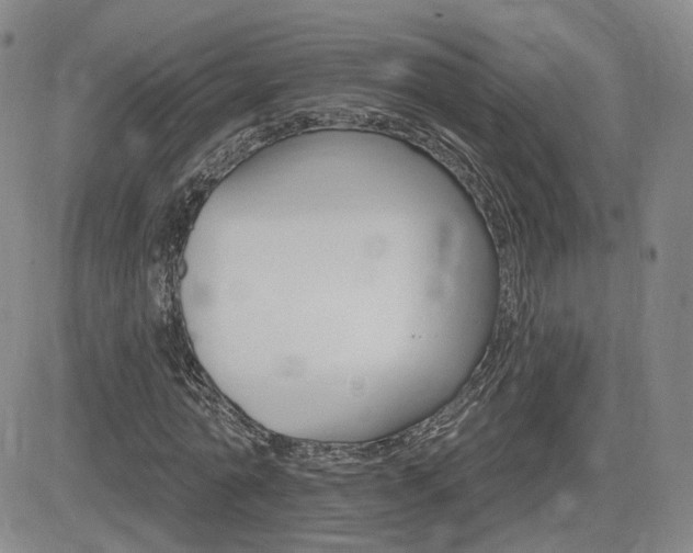 X0000084520774200702231133