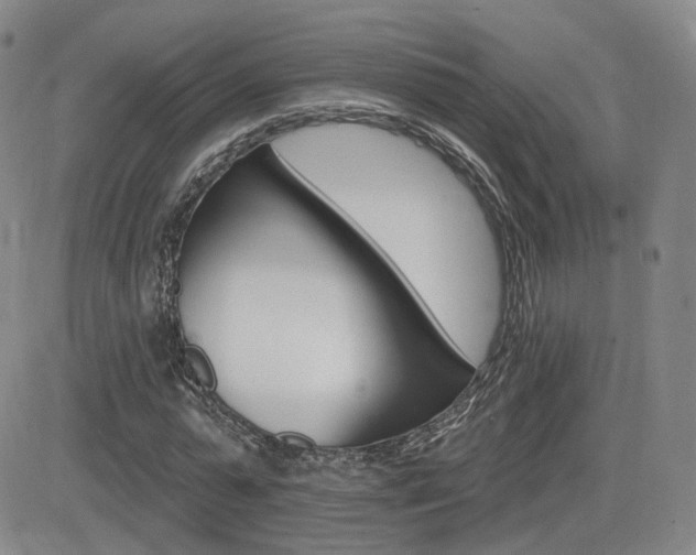 X0000084520775200702231133