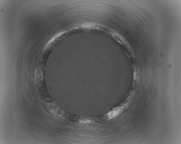 X0000084520776200702231133