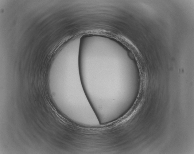 X0000084520777200702231133