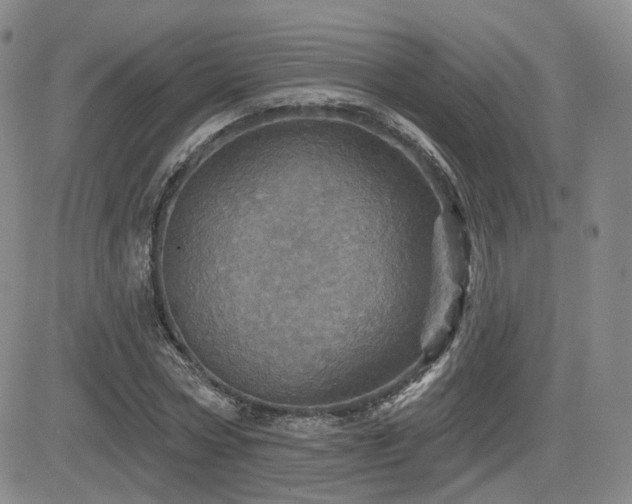 X0000084520778200702231133