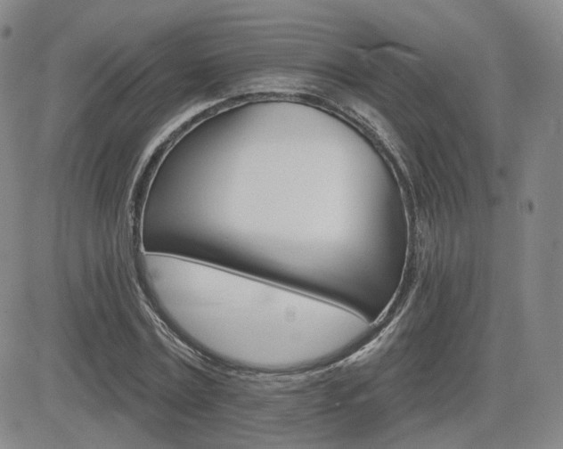 X0000084520779200702231133