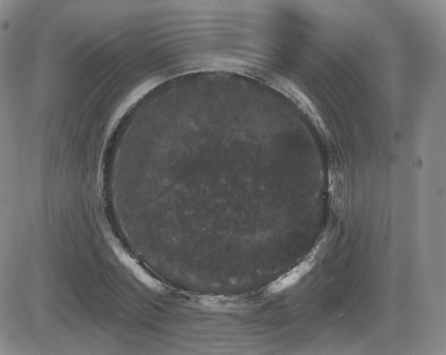 X0000084520780200702231133