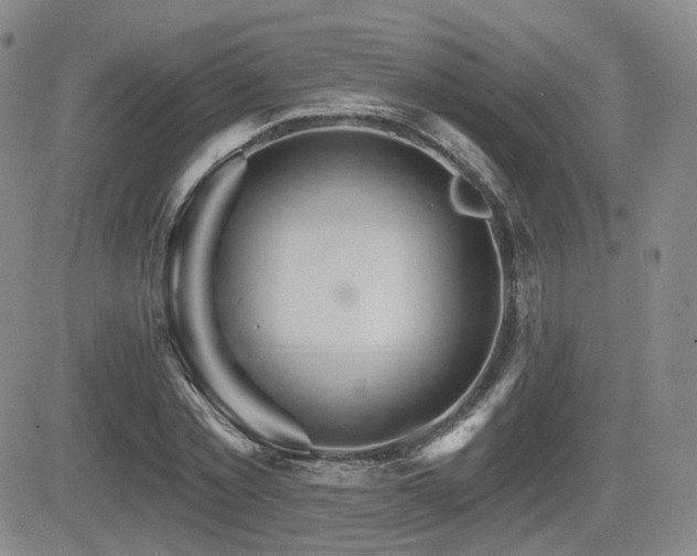 X0000084520781200702231133