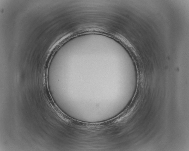 X0000084520782200702231133