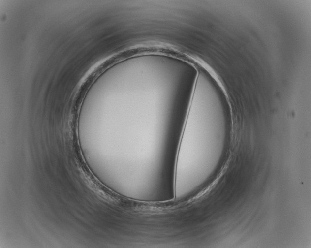 X0000084520783200702231133