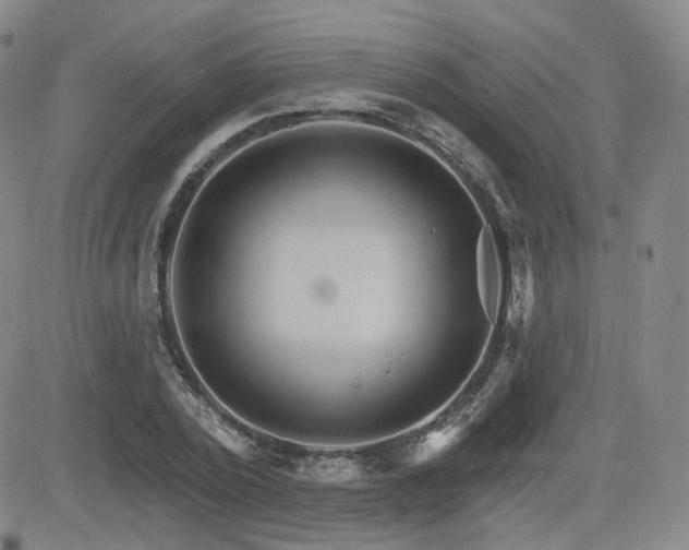 X0000084520784200702231133