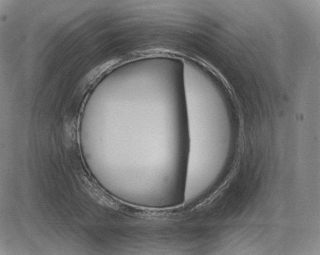 X0000084520785200702231133