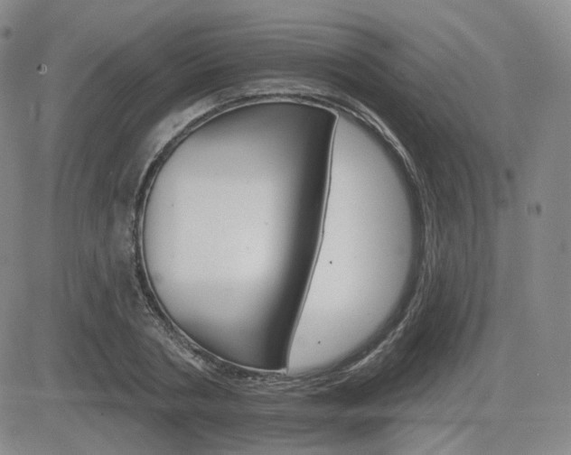 X0000084520786200702231133