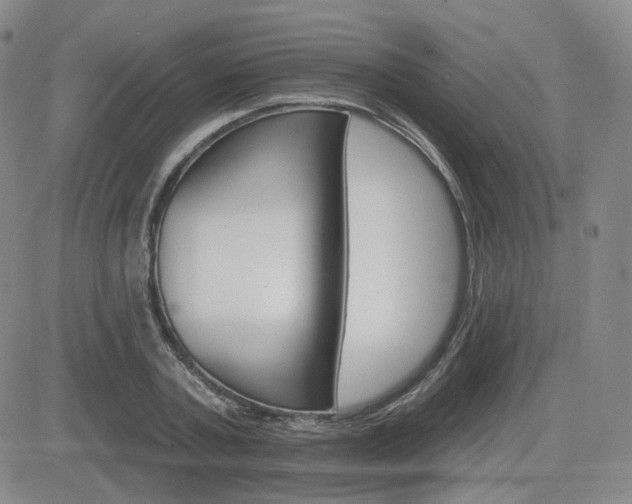 X0000084520787200702231133